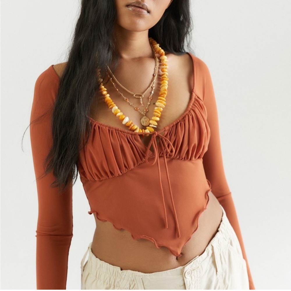 Urban Outfitters babydoll mesh crop ~ long sleeve NWT